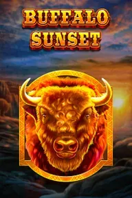 wild robin buffalo sunset